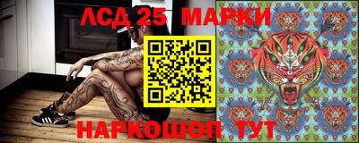 ГАЛЛЮЦИНОГЕННЫЕ ГРИБЫ Сланцы
