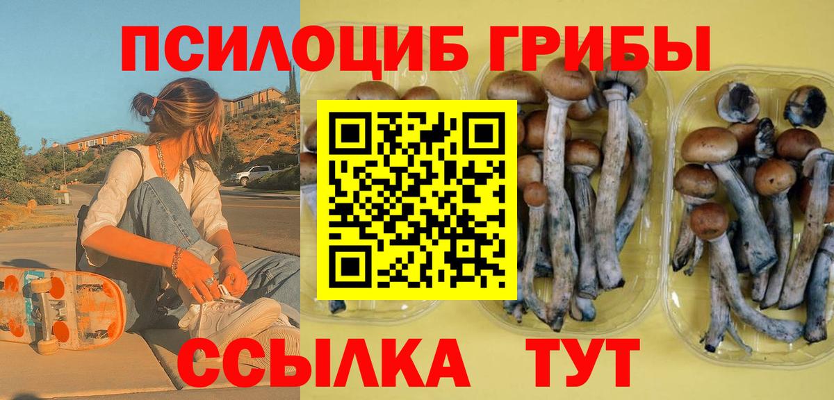 продажа наркотиков  Псилоцибиновые грибы Magic Shrooms  Вход с VPN  Псилоцибиновые грибы ЛСД  Подольск 