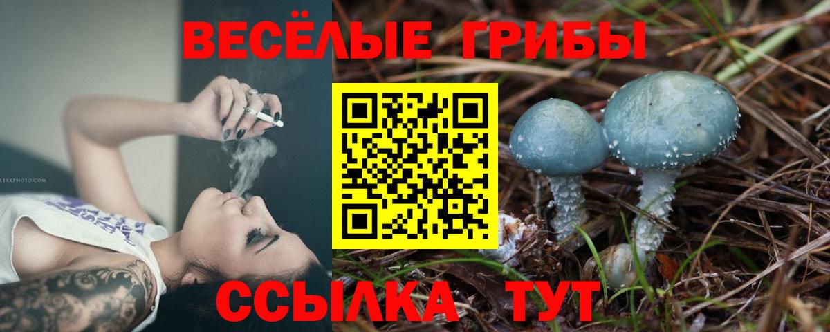 Галлюциногенные грибы Cubensis Подольск
